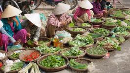 BUSINESS LICENSE VIETNAM - SET UP COMPANY IN VIET NAM